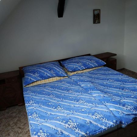 Ubytovani Na Sumave Sušice エクステリア 写真